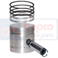 PISTON WITH RINGS         , Massey Ferguson, TE20 - TED20