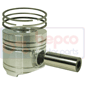 PISTON WITH RINGS , Lamborghini, Agile - 660S Agile, Engine and components, Pistons-Ring sets-Liners, Piston and ring