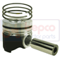 PISTON WITH RINGS , Lamborghini, R - 1306, Engine and components, Pistons-Ring sets-Liners, Piston and ring