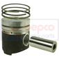 PISTON WITH RINGS         , Lamborghini, R - 1506