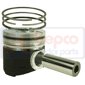 PISTON WITH RINGS         , Lamborghini, Champion - Champion 120