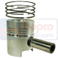 PISTON WITH RINGS STD , Same, Condor - Condor 55, Engine and components, Pistons-Ring sets-Liners, Piston and ring