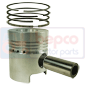 PISTON WITH RINGS STD , Same, Condor - Condor 55, Engine and components, Pistons-Ring sets-Liners, Piston and ring