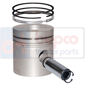 PISTON WITH RINGS , Massey Ferguson, Engine and components, Pistons-Ring sets-Liners, Piston and ring