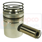 PISTON WITH RINGS         , Zetor, Forterra - 9621