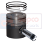 PISTON WITH RINGS , Massey Ferguson,  - 60HX-T, Engine and components, Pistons-Ring sets-Liners, Piston and ring