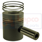 PISTON WITH RINGS         , Massey Ferguson, 2600 - 2640