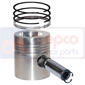 PISTON WITH RINGS         , Massey Ferguson, 300 - 354S