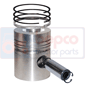 PISTON WITH RINGS , Massey Ferguson, 100 - 165, Engine and components, Pistons-Ring sets-Liners, Piston and ring