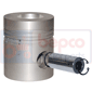 PISTON & PIN         , Massey Ferguson,  - 50