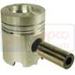 PISTON & PIN         , Deutz, DX6 - DX6.10