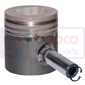 PISTON & PIN         , Massey Ferguson, 3600 - 3655