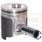 PISTON & PIN         , Ford, 10 - 7810S