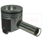 PISTON & PIN         , Case-IH, WDX - WDX 901