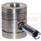 PISTON & PIN 0.030''-0.762mm        , Massey Ferguson, 300 - 384GE(X)