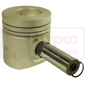 PISTON & PIN         , Massey Ferguson, 4300 - 4315