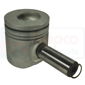 PISTON & PIN         , Massey Ferguson, 3200-3300 - 3325F/FE