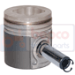 PISTON & PIN         , Massey Ferguson, 4300 - 4345HV