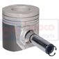 PISTON & PIN , Massey Ferguson, 300 - 394AP(X), Engine and components, Pistons-Ring sets-Liners, Piston