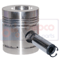 PISTON & PIN         , Massey Ferguson,  - 788