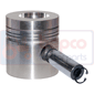 PISTON & PIN         , Massey Ferguson, 1000 - 1080