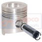 PISTON & PIN         , Fendt, Farmer 100 - 104S