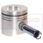 PISTON & PIN         , Fendt, Favorit 600 - 614LSA