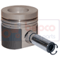 PISTON & PIN         , Fendt, Favorit 600 - 614LSA