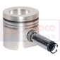 PISTON & PIN         , Fendt, GT Porte-outils - F255GT