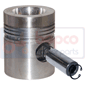 PISTON & PIN         , Massey Ferguson,  - 750