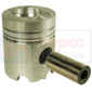 PISTON & PIN         , Renault / Claas, 70 - 70-14LB