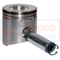 PISTON & PIN         , Renault / Claas, Ceres - Ceres 75X