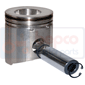 PISTON & PIN         , Renault / Claas, Ergos - Ergos 105