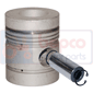 PISTON & PIN         , Massey Ferguson, 1000 - 1200