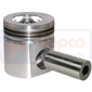 PISTON & PIN , Case-IH, Engine and components, Pistons-Ring sets-Liners, Piston