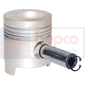 PISTON & PIN         , Ford, 00 - 4100