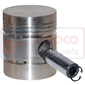 PISTON & PIN , Landini, Engine and components, Pistons-Ring sets-Liners, Piston