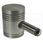 PISTON & PIN         , Hanomag, R - R24