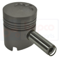 PISTON & PIN         , Hanomag, Granit - Granit501