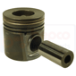 PISTON & PIN 0.020''-0.51mm, Massey Ferguson, Dzinējs un tā sastāvdaļas, Virzuļi-Gredzenu komplekti-Čaulas, Virzulis