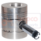 PISTON & PIN         , Massey Ferguson, 200 - 253 (Italy)