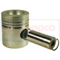 PISTON         , Zetor, UR III - 7520