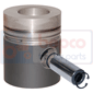 PISTON & PIN , Massey Ferguson, Engine and components, Pistons-Ring sets-Liners, Piston