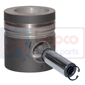 PISTON & PIN         , Massey Ferguson,  - 29