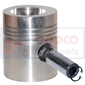 PISTON & PIN         , Massey Ferguson, 300 - 354S