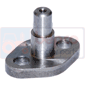 PIN PUMP SUPPORT         , Massey Ferguson, 300 - 362N