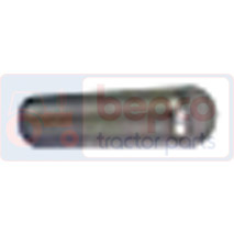 NEEDLE ROLLER , Massey Ferguson, 4200 - 4245, Transmission, Rear axle, Differential - Crown wheel and pinion, 3612442M1, 831485M1, , NEEDLE ROLLER , 30/339-1, 3612442M1, 831485M1, , 0.00 kg