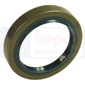 OIL SEAL 58x80x13, Same, Centurion - Centurion 75 Special, Transmission, Front axle 4WD, Differential