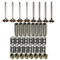 VALVE TRAIN KIT         , Massey Ferguson,  - 60HX-T