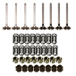 VALVE TRAIN KIT , Massey Ferguson, Engine and components, Cylinder head, Valve kit